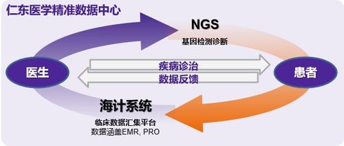 仁东首发临床科研助理海计系统上线 打造大数据处理一站式服务